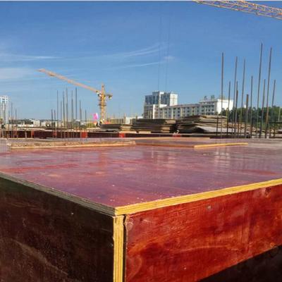 廣西建筑小紅板工廠 綠色創新引領建筑模板新潮流