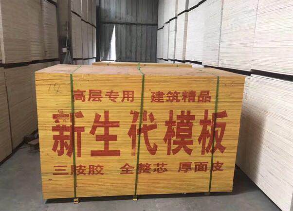 江蘇建筑模板最新價格與沭陽縣新生代木制品廠高清產(chǎn)品展示
